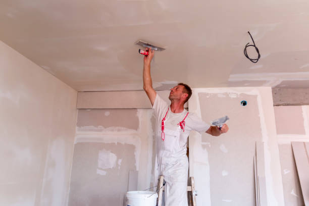 Wallpaper Removal and Painting in Ave Maria, FL